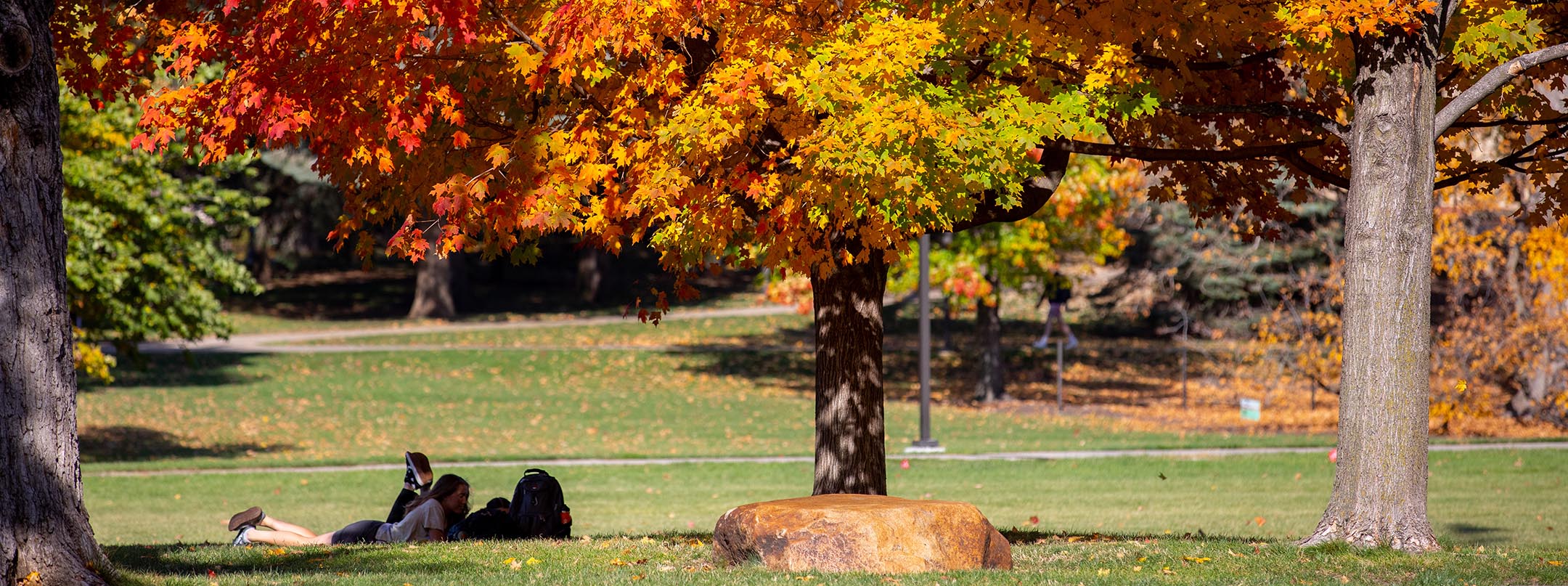 A student lounges under the trees on central campus.