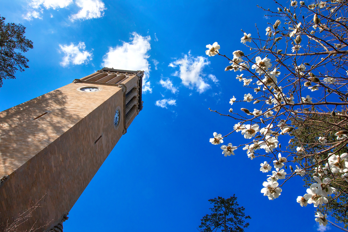 The Iowa State Campanile is shown from an up-angle with blooming flowers.